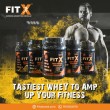 FITX Whey Protein Concentrate 